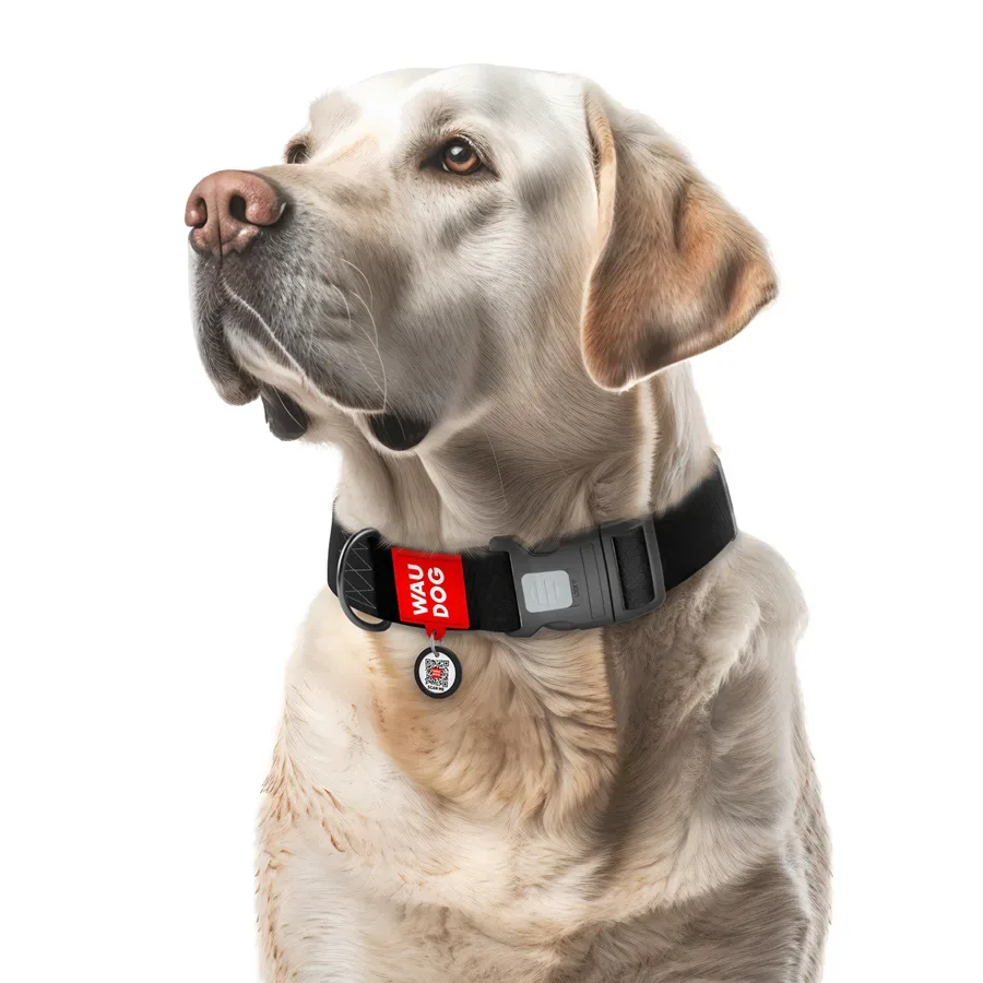 Нашийник для собак водостійкий, пластикова пряжка, XXL, чорний WAUDOG Waterproof Collar