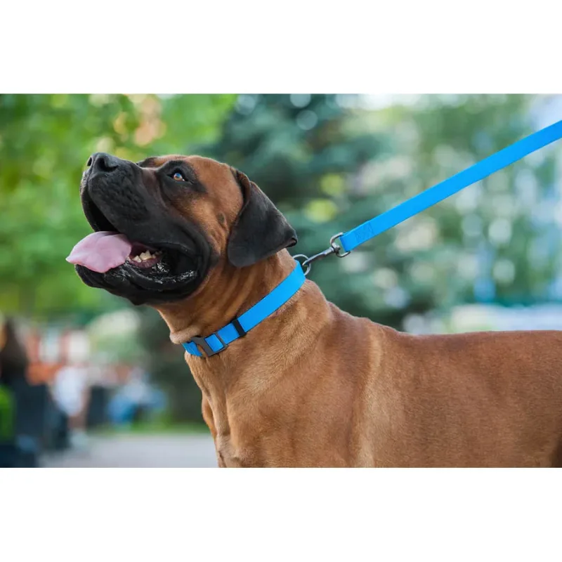 Поводок для собак водостойкий, 25 мм × 122 см, L-XXL, голубой WAUDOG Waterproof Leash