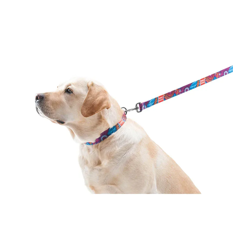 Ошейник для собак нейлоновый «Лето», пластиковая пряжка, M WAUDOG Nylon Collar Summer