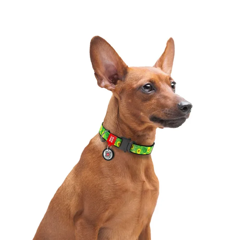 Нашийник для собак нейлоновий «Авокадо», металева пряжка, M WAUDOG Nylon Collar Avocado