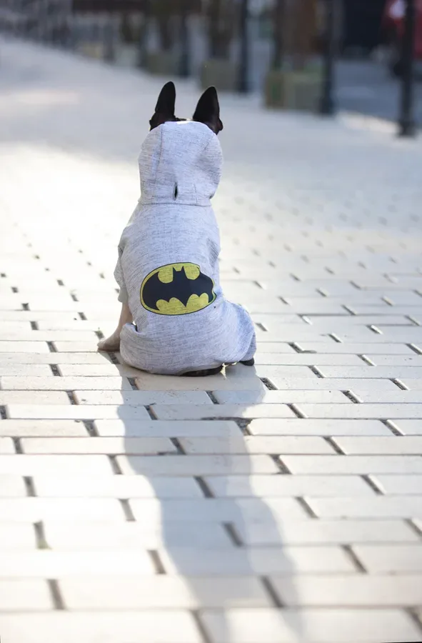 Комбінезон для собак, софтшелл «Бетмен лого», M47 WAUDOG Clothes Dog Jumpsuit Batman Logo