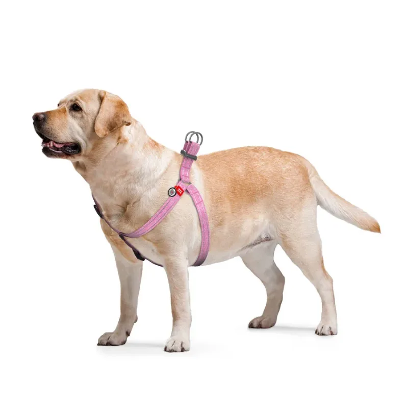 Шлея з відновленої бавовни, світловідбивна, L, рожевий WAUDOG Re-cotton Harness