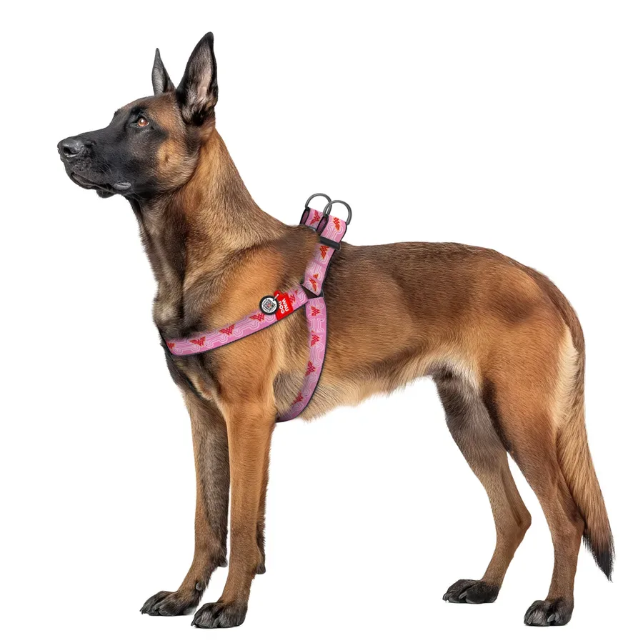 Шлея для собак «Чудо-женщина 1», XL WAUDOG Nylon Harness Wonder Woman 1