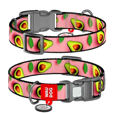 Ошейник для собак нейлоновый «Авокадо на розовом», XL WAUDOG Nylon Collar Avocado on Pink