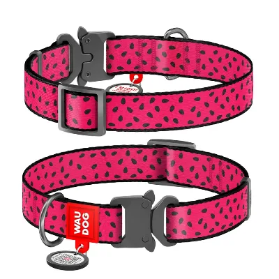 Ошейник для собак нейлоновый «Арбуз», металлическая пряжка, XL WAUDOG Nylon Collar Watermelon