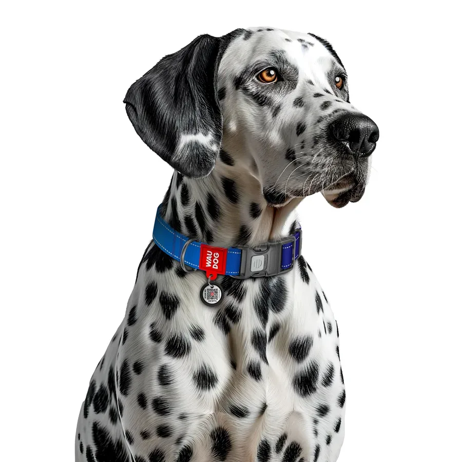 Нашийник для собак нейлоновий, світловідбивний, S, синій WAUDOG Nylon Mono Collar