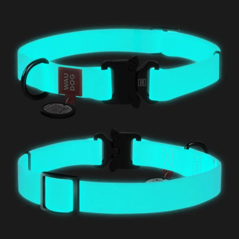 Ошейник для собак водостойкий, светящийся, металлическая пряжка, L WAUDOG Waterproof Collar