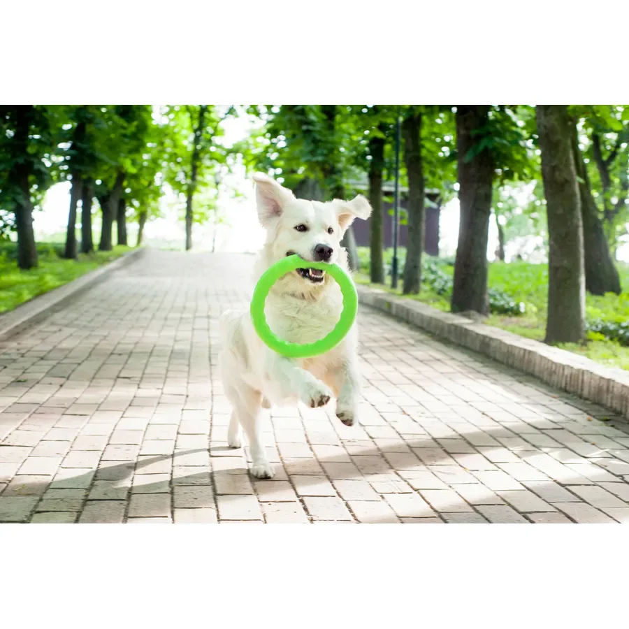 Кільце для апортировки 30, салатовий PitchDog Fetch Ring