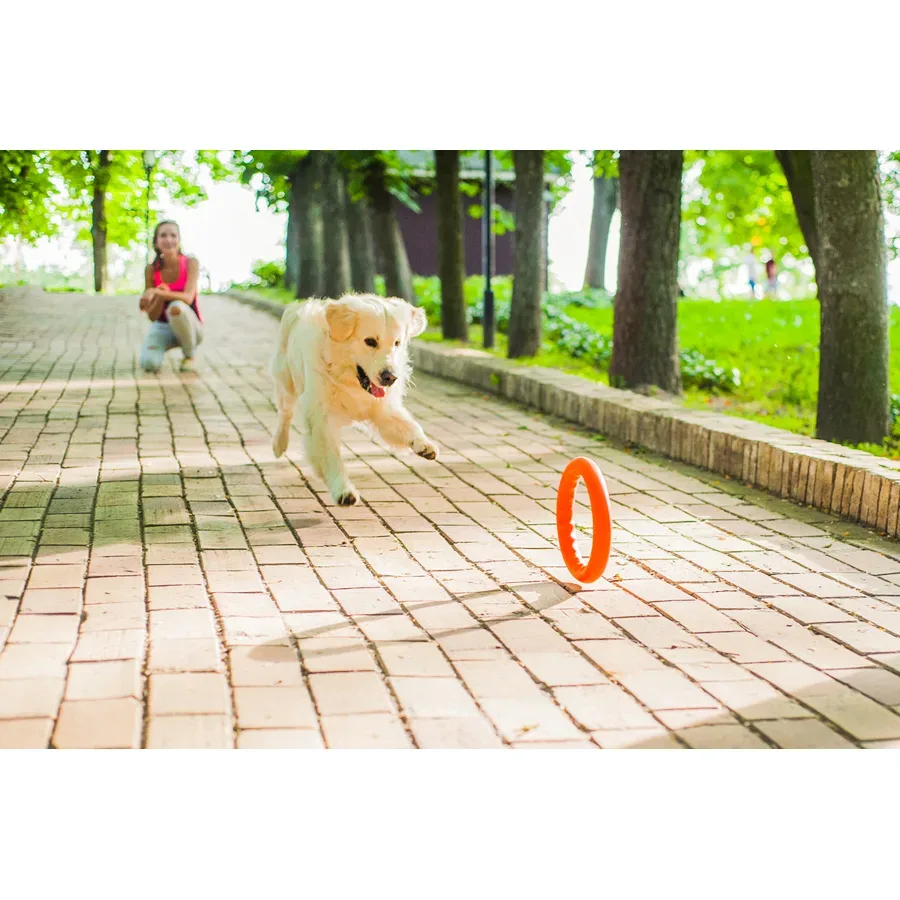 Кільце для апортировки 30, помаранчевий PitchDog Fetch Ring