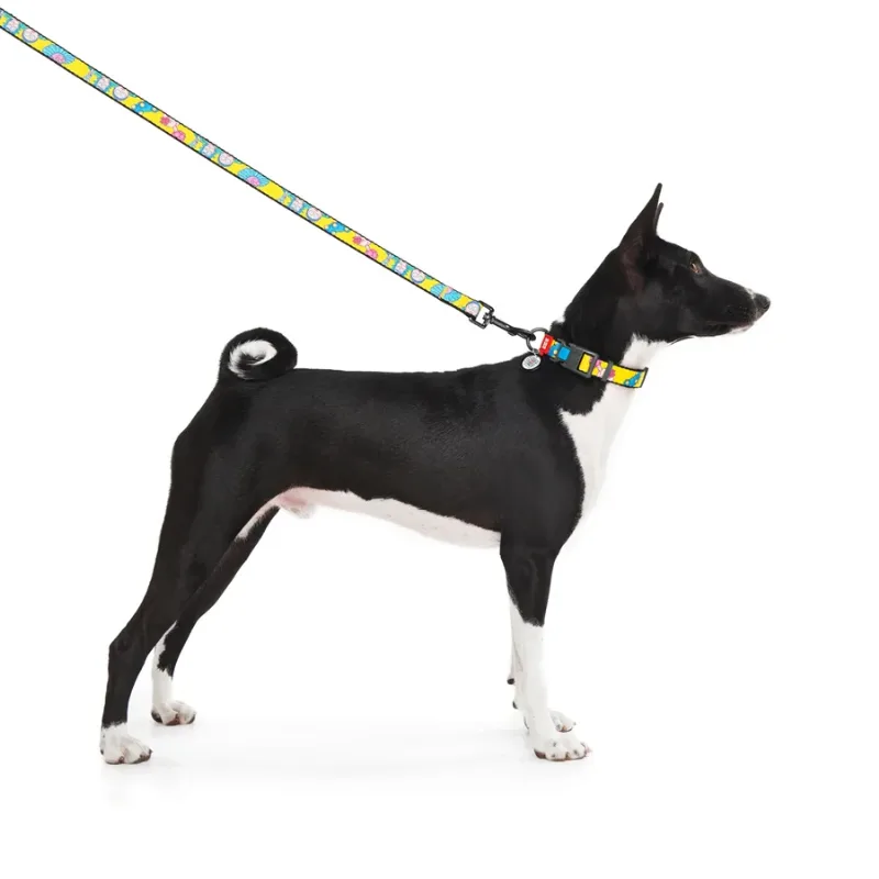 Нашийник для собак нейлоновий «Рік та Морті 1», M WAUDOG Nylon Collar Rick and Morty 1