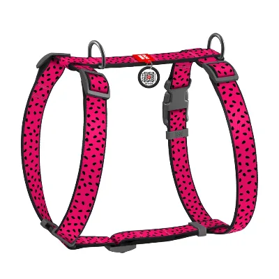 Шлея для собак анатомічна H-подібна «Кавун», S WAUDOG Nylon Anatomic Harness Watermelon