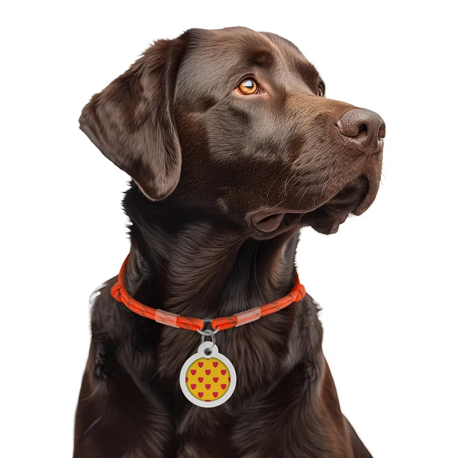 Шнурок для адресника з паракорду, світловідбивний, M, помаранчевий WAUDOG Smart ID Tag Cord