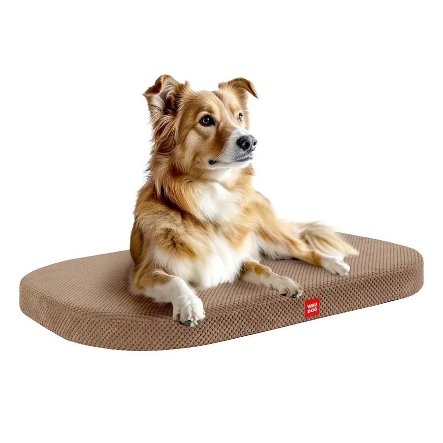 Лежанка для собак, Доріс велюр, зі знімним чохлом, M, бежевий WAUDOG Relax Pet Bed