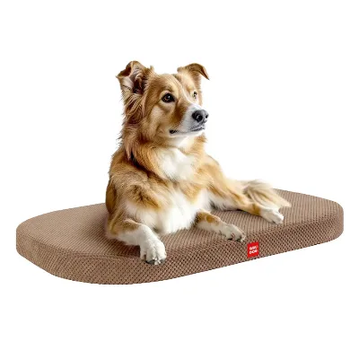 Лежанка для собак, Дорис велюр, со съемным чехлом, M, бежевый WAUDOG Relax Pet Bed