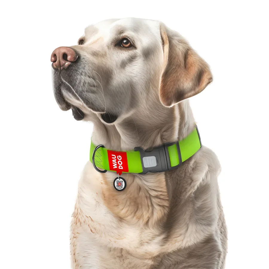 Нашийник для собак водостійкий, пластикова пряжка, XXL, салатовий WAUDOG Waterproof Collar