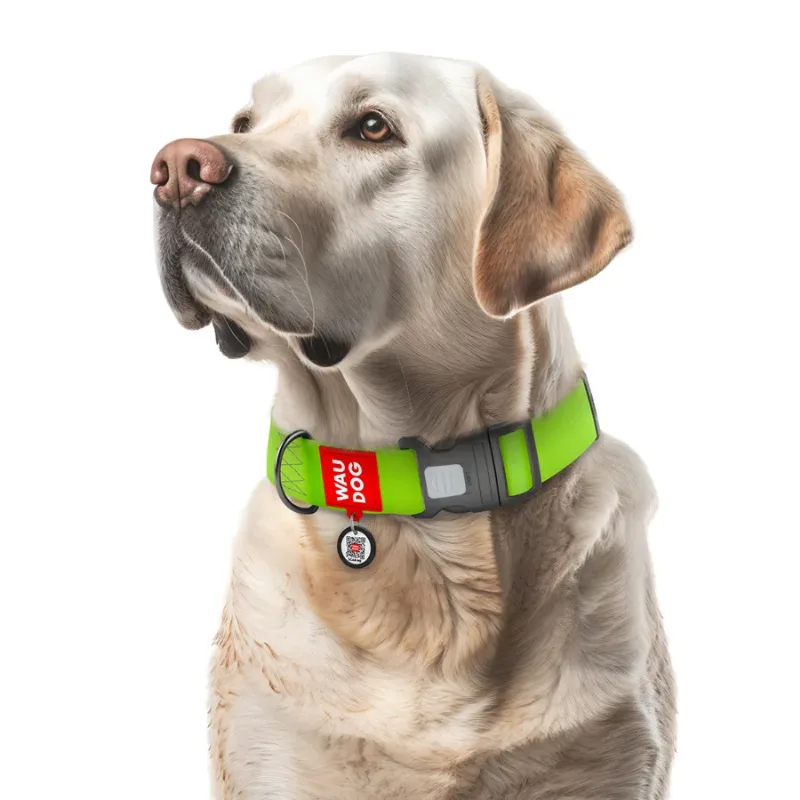 Нашийник для собак водостійкий, пластикова пряжка, XXL, салатовий WAUDOG Waterproof Collar