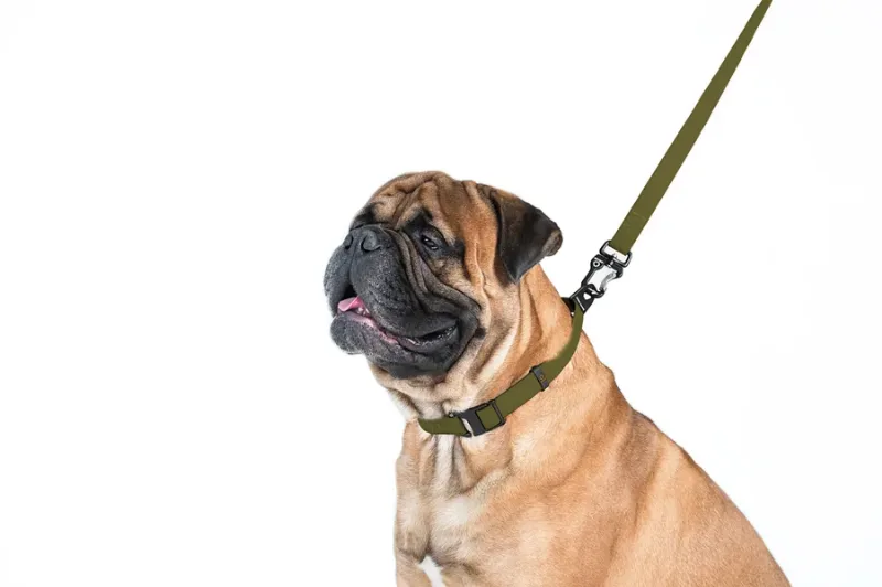 Повідець EVOLUTOR, XXL, хакі EVOLUTOR Leash