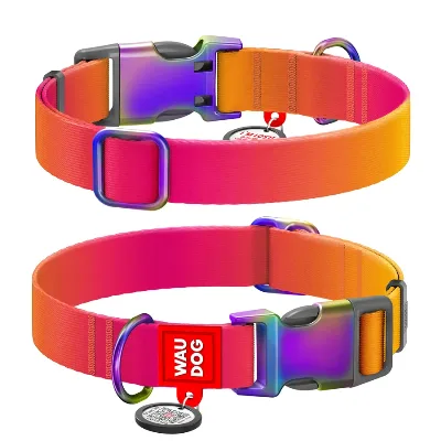 Нашийник для собак з нейлону, градієнт, L, помаранчевий WAUDOG Nylon Recycled Collar