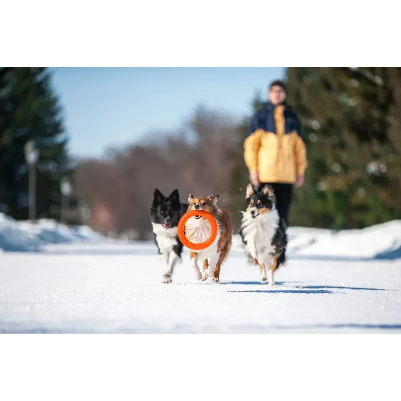 Кольцо для апортировки 20, оранжевый PitchDog Fetch Ring