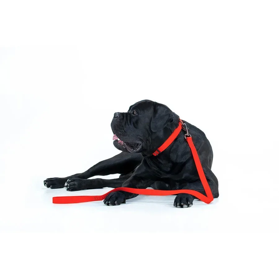 Повідець для собак водостійкий, 25 мм × 122 см, L-XXL, червоний WAUDOG Waterproof Leash