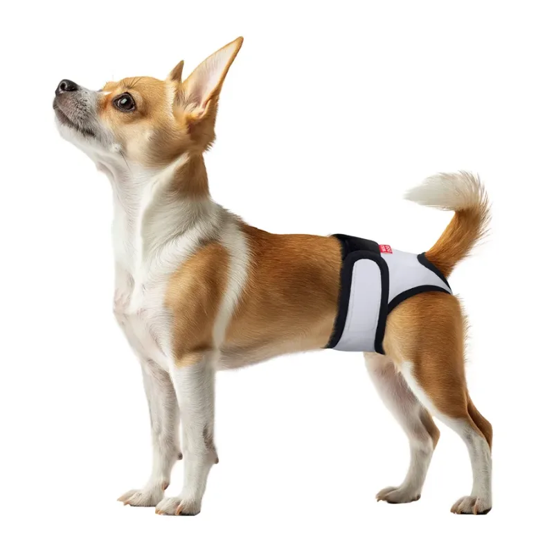 Труси гігієнічні для котів та собак на липучках, сірий, XL WAUDOG Vet Hygiene Pants