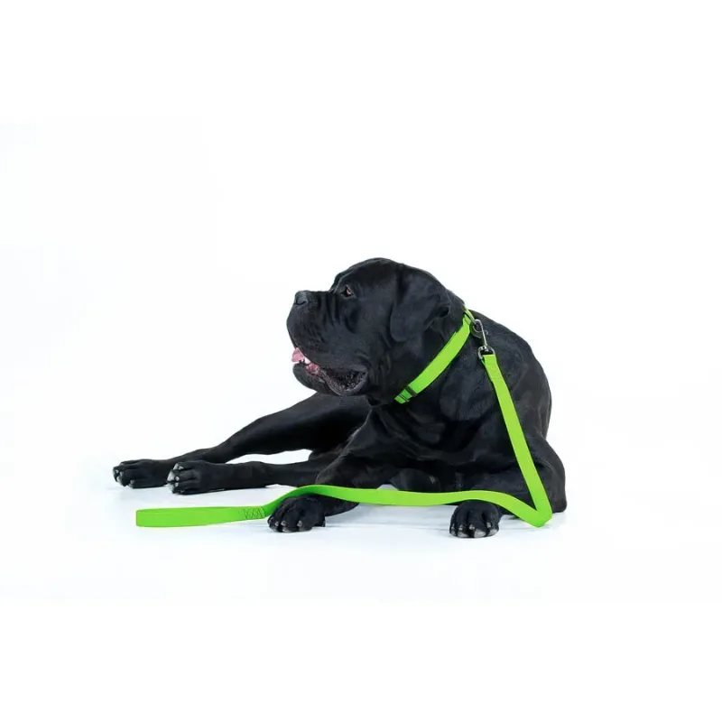 Повідець для собак водостійкий, 20 мм × 183 см, M, салатовий WAUDOG Waterproof Leash