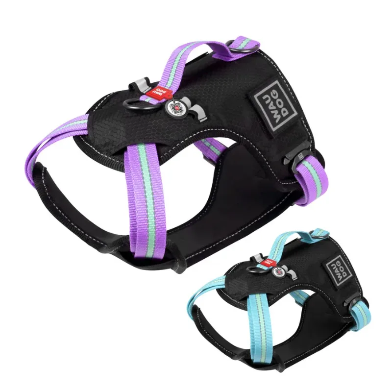 Шлея для собак безпечна, M, фіолетовий WAUDOG Nylon Harness