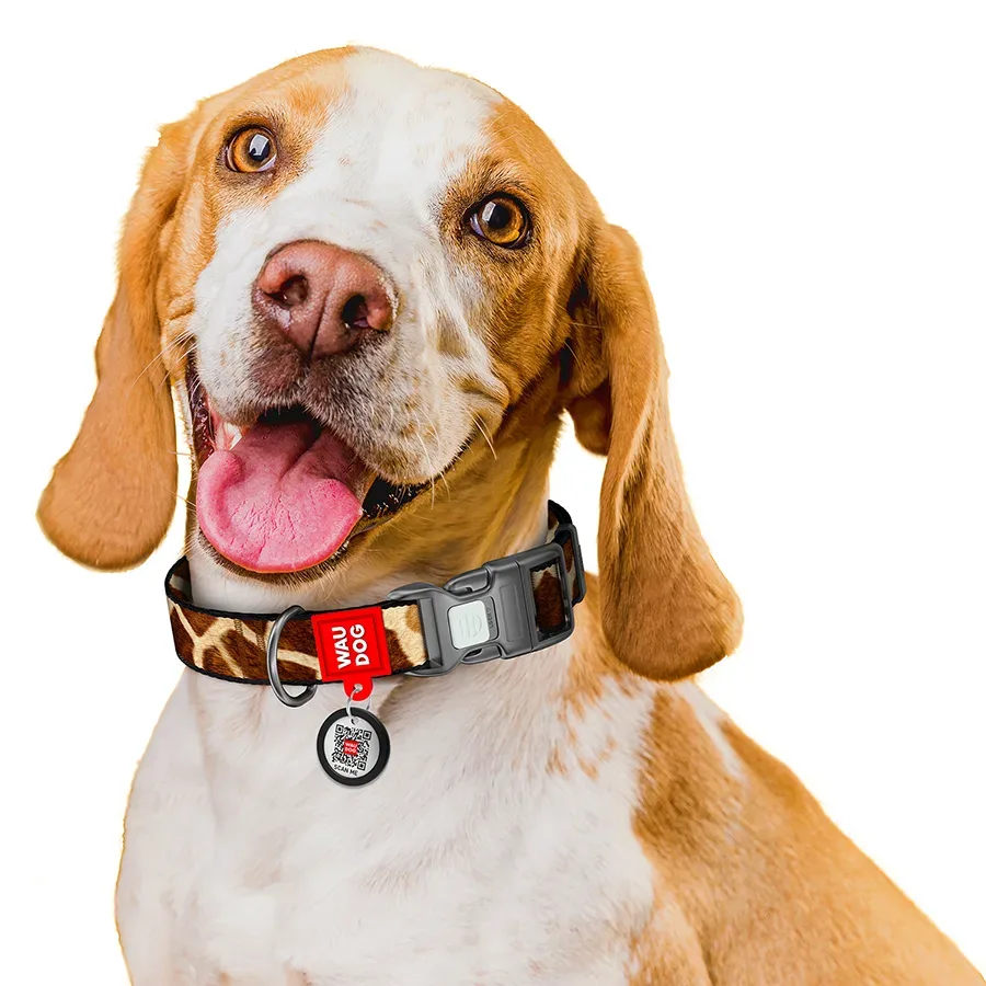 Нашийник для собак нейлоновий «Жираф», XL WAUDOG Nylon Collar Giraffe