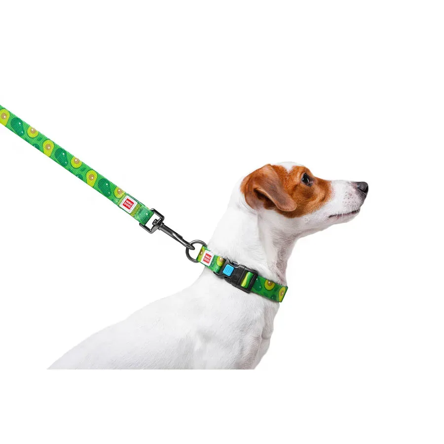 Поводок для собак нейлоновый «Авокадо», M WAUDOG Nylon Leash Avocado