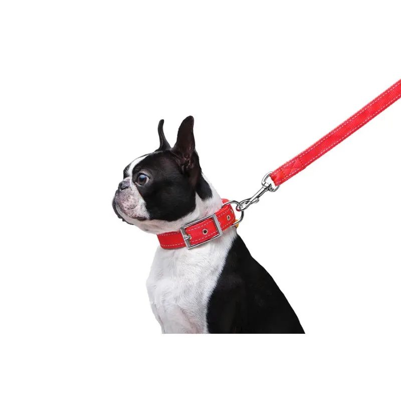 Поводок нейлоновый двойной, M, красный Dog Extreme Leash