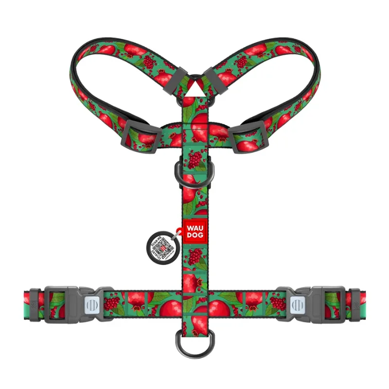 Шлея для собак анатомічна H-подібна «Гранати», S WAUDOG Nylon Anatomic Harness Pomegranates