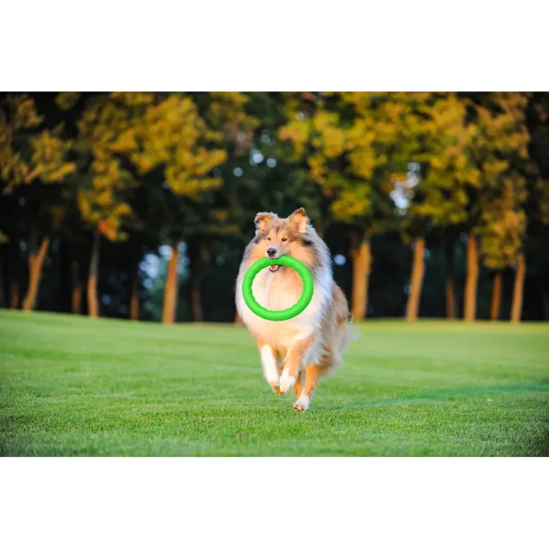Кільце для апортировки 30, салатовий PitchDog Fetch Ring