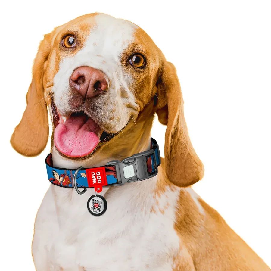 Ошейник для собак нейлоновый «Сила Супермена», S WAUDOG Nylon DC Comics Collar Superman Power