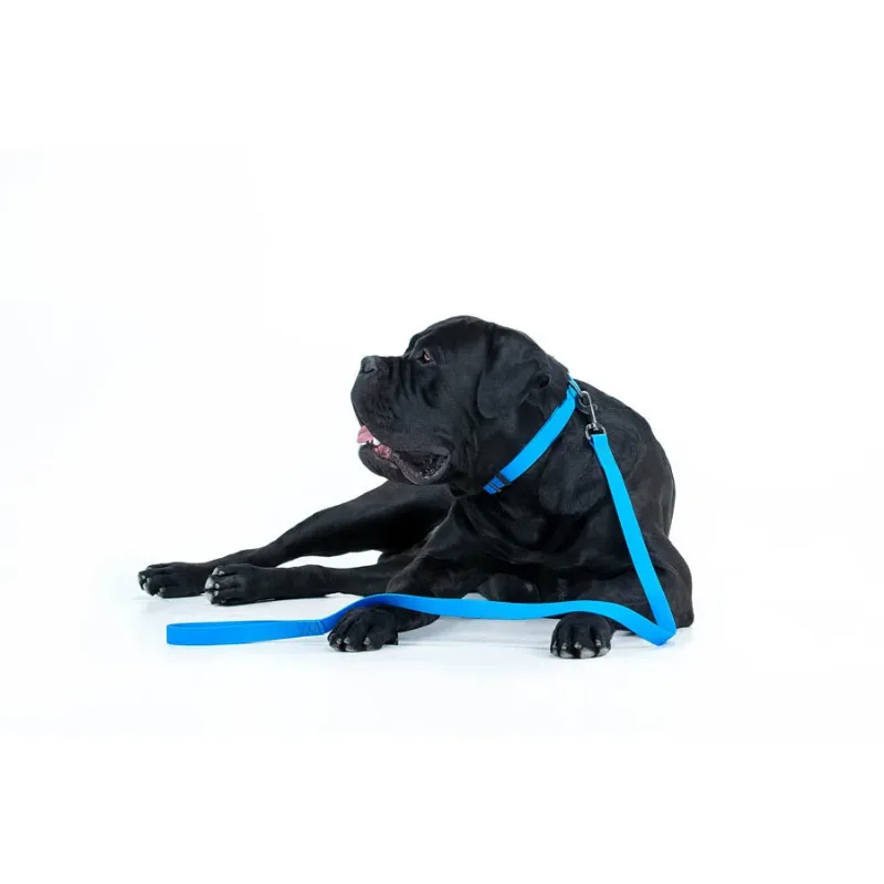 Поводок для собак водостойкий, 20 мм × 183 см, M, голубой WAUDOG Waterproof Leash