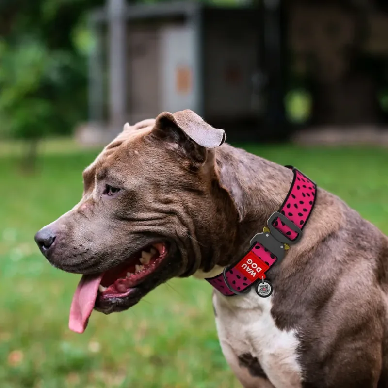 Ошейник для собак нейлоновый «Арбуз», металлическая пряжка, XXL WAUDOG Nylon Collar Watermelon