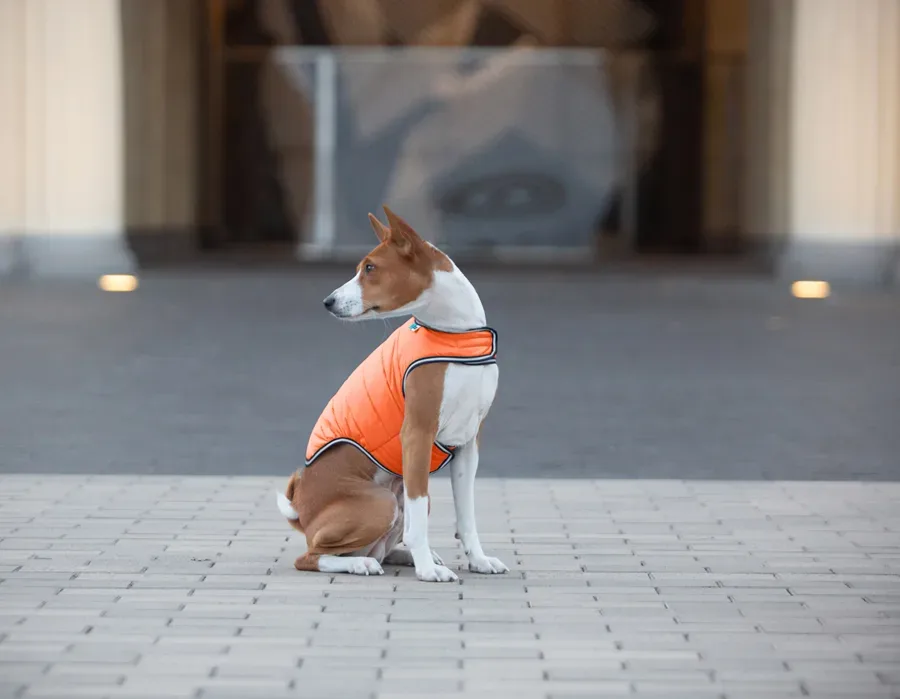 Куртка-накидка для собак, XL, помаранчевий AiryVest Dog Cape Jacket