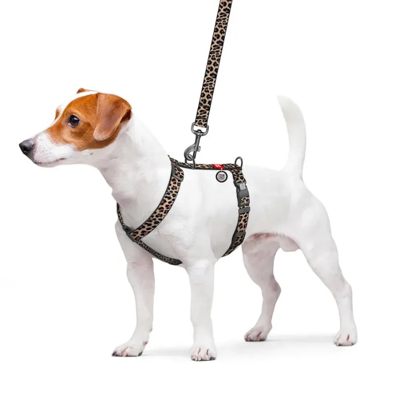 Шлея для собак анатомічна H-подібна «Леопард», L WAUDOG Nylon Anatomic Harness Leopard