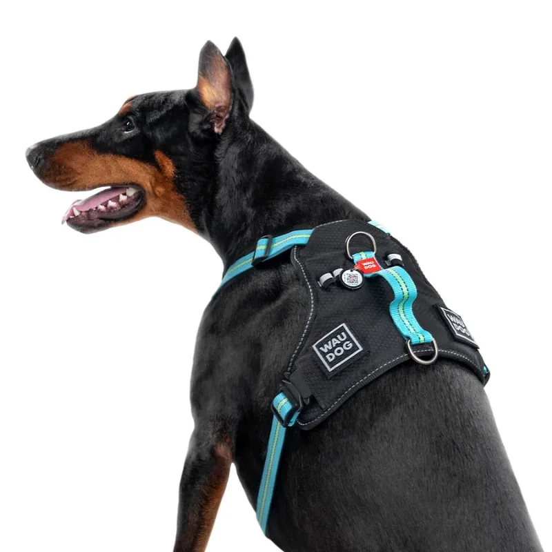 Шлея для собак безопасная, M, голубой WAUDOG Nylon Harness