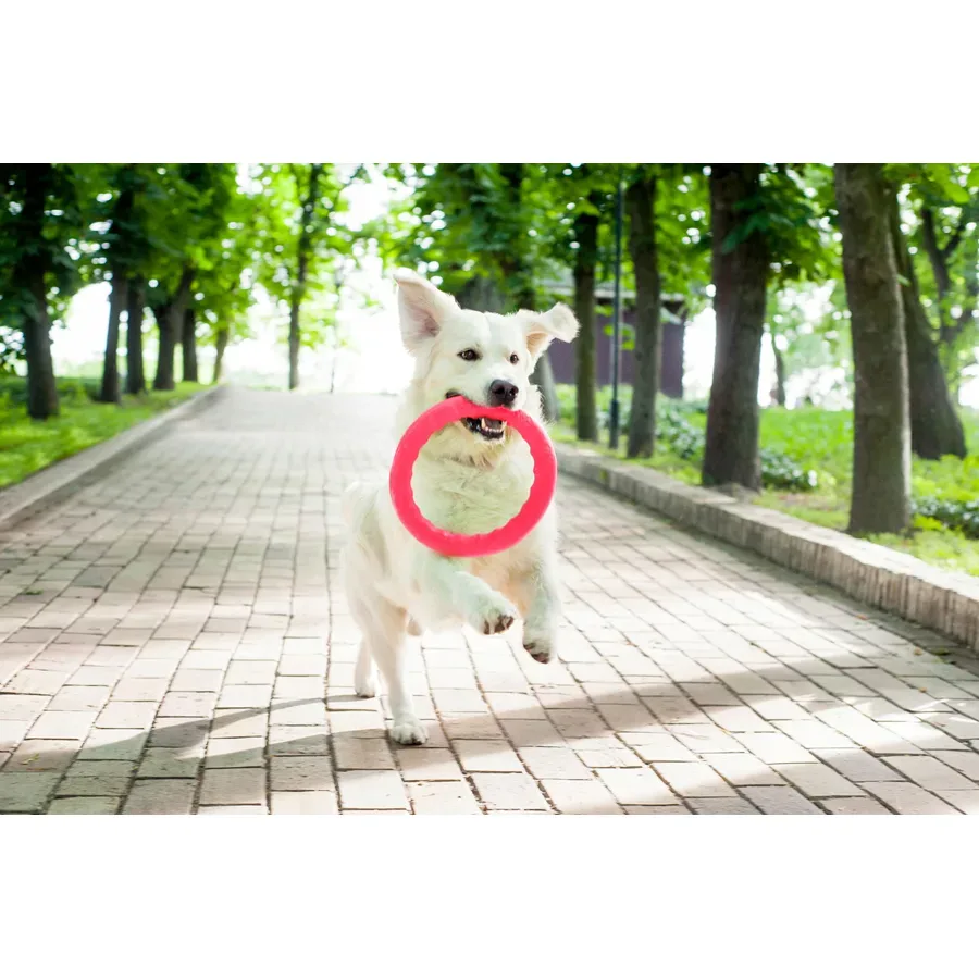 Кільце для апортировки 30, рожевий PitchDog Fetch Ring