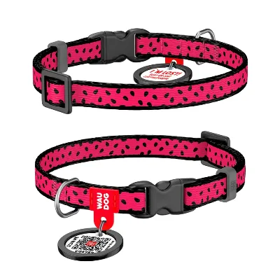 Нашийник для собак нейлоновий «Кавун», XS WAUDOG Nylon Collar Watermelon