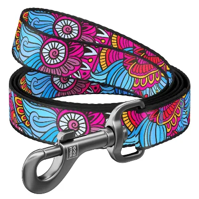 Повідець для собак нейлоновий «Літо», L-XXL WAUDOG Nylon Leash Summer