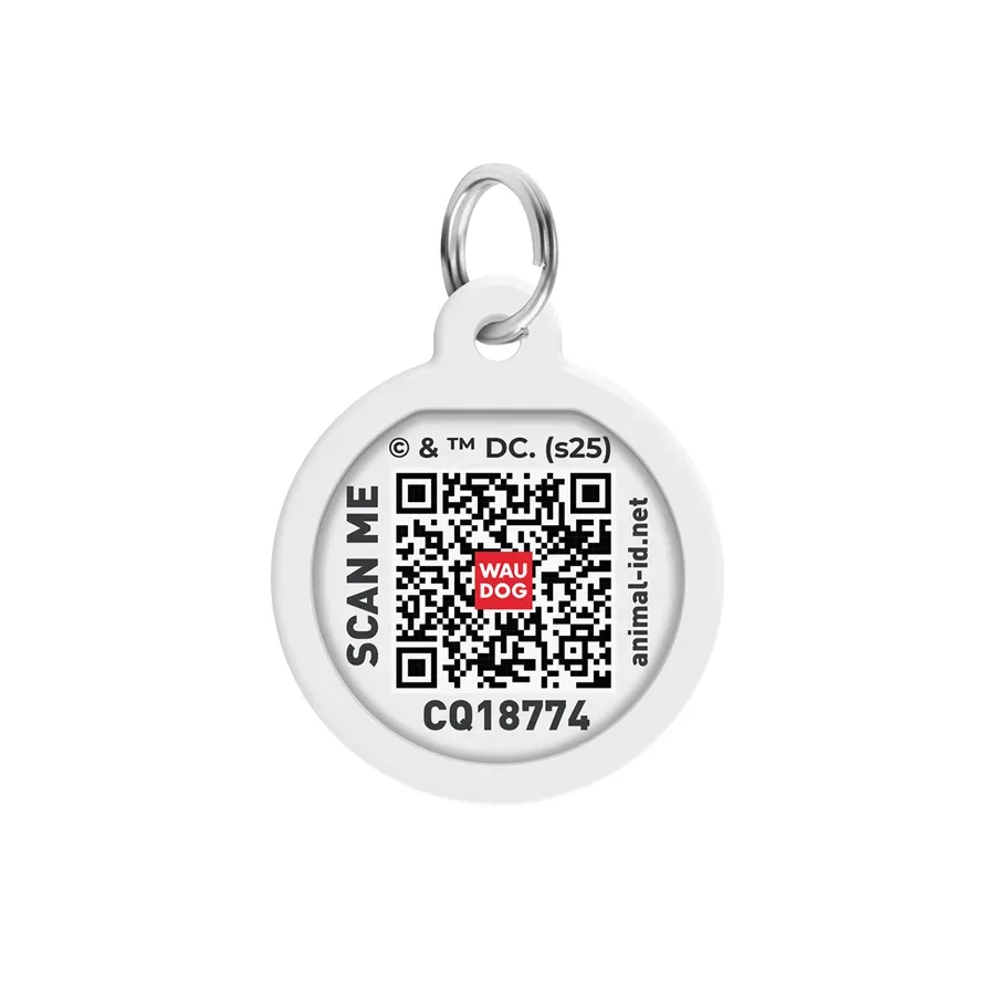 Адресник для собак и котов металлический, круг «Флеш лого», S WAUDOG Smart ID Tag Flash Logo