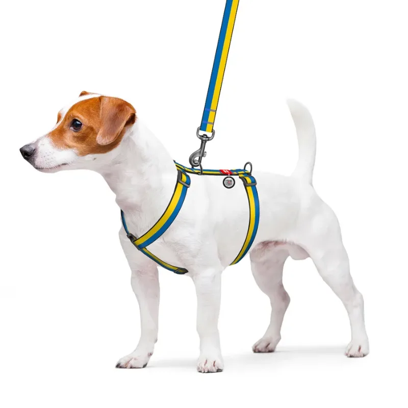 Шлея для собак анатомическая H-образная «Colors of freedom», M WAUDOG Nylon Anatomic Harness Colors of Freedom