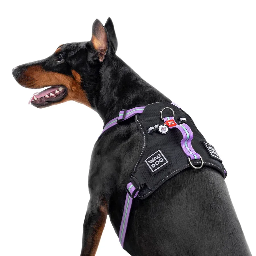 Шлея для собак безпечна, L, фіолетовий WAUDOG Nylon Harness