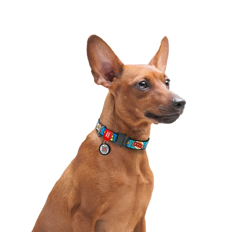 Нашийник для собак нейлоновий «ВАУ», XL WAUDOG Nylon Collar WOW