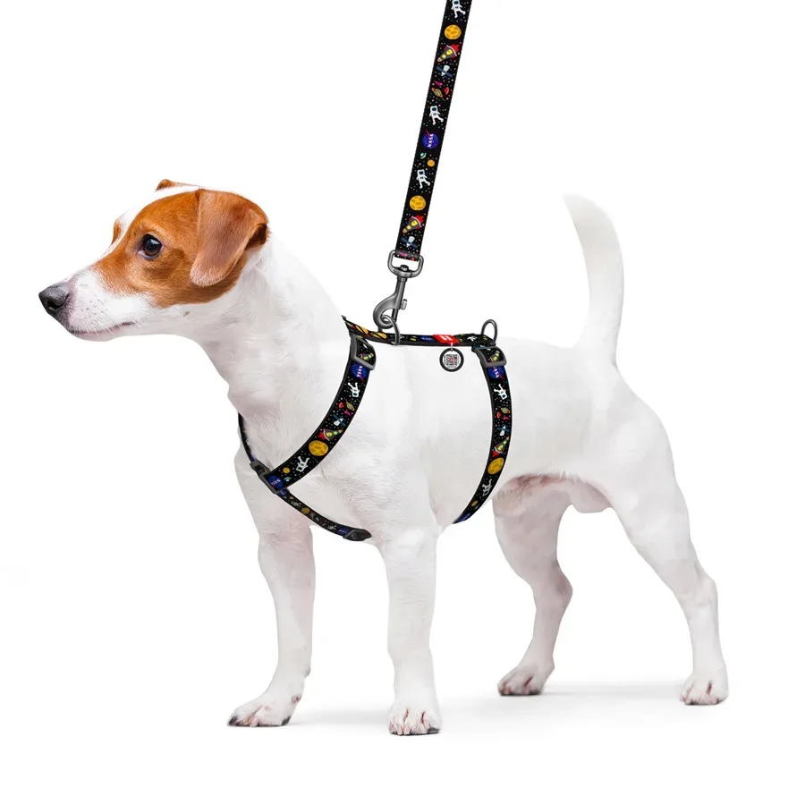 Шлея для собак анатомічна H-подібна «NASA», S WAUDOG Nylon Anatomic Harness NASA