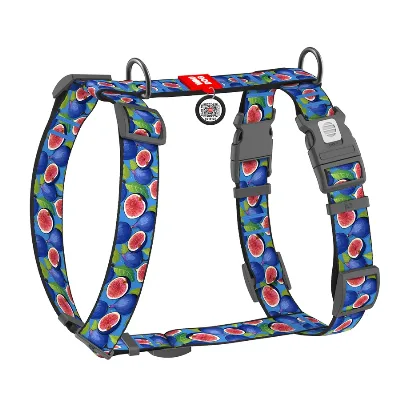 Шлея для собак анатомическая H-образная «Инжир», XL WAUDOG Nylon Anatomic Harness Figs