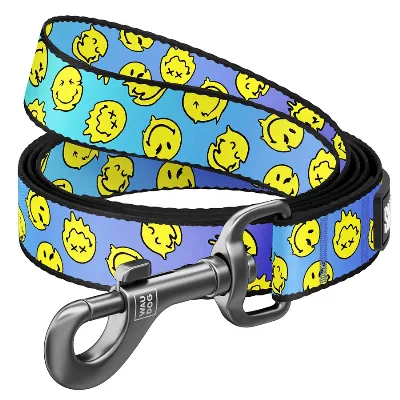 Повідець для собак нейлоновий «Смайли на блакитному», L-XXL WAUDOG Nylon Leash Smileys on Blue