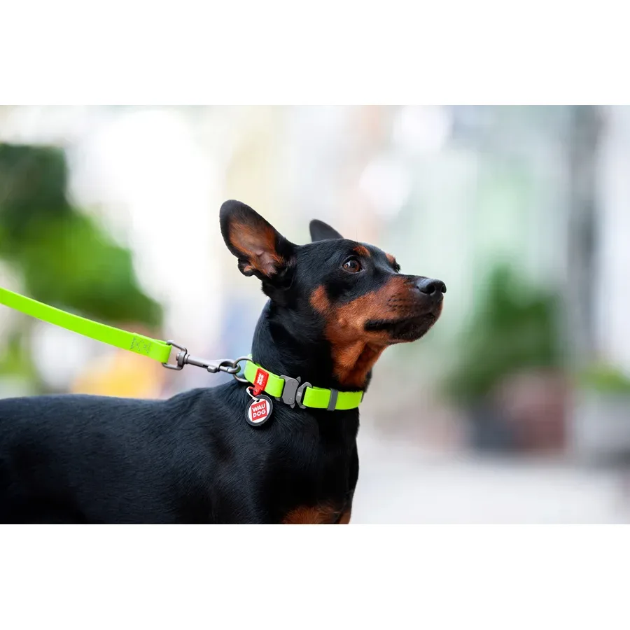 Ошейник для собак водостойкий, металлическая пряжка, L, салатовый WAUDOG Waterproof Collar