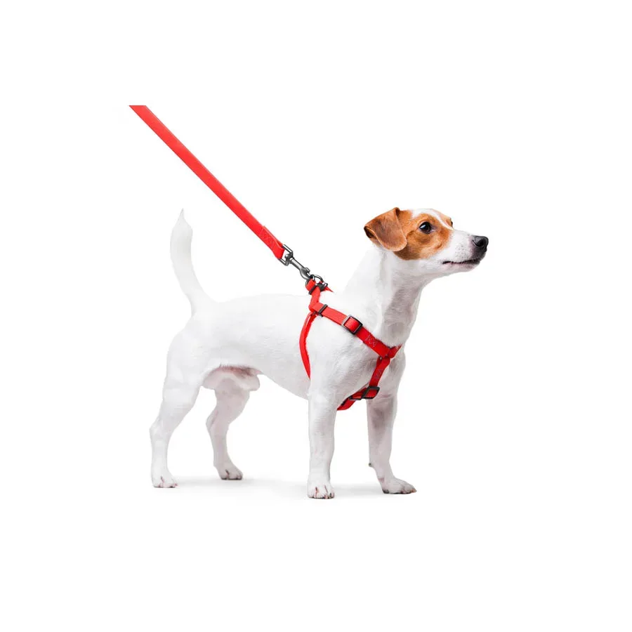 Шлея для собак водостойкая, S, красный WAUDOG Waterproof Harness